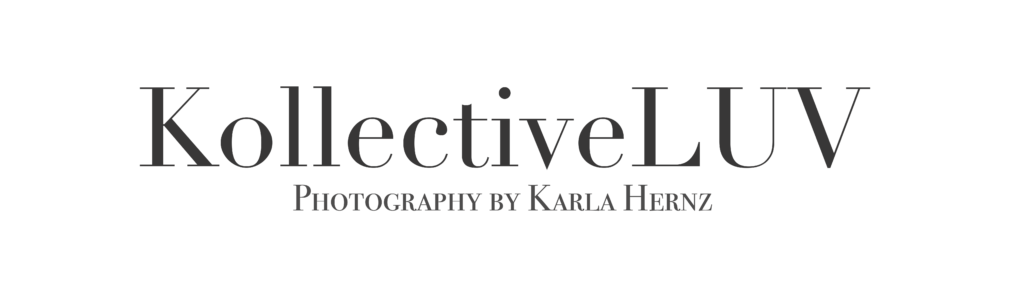 wedding, maternity, boudoir photographer